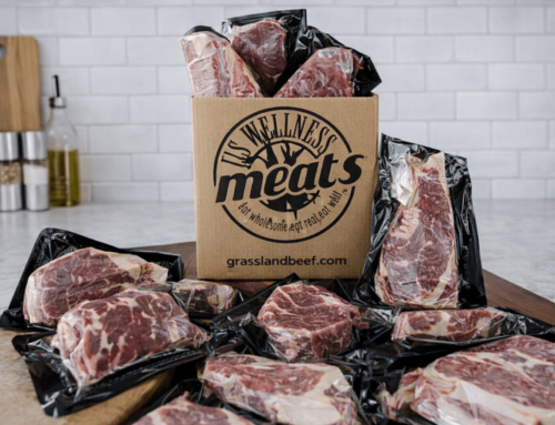 Highest Quality Grass-Finished Beef